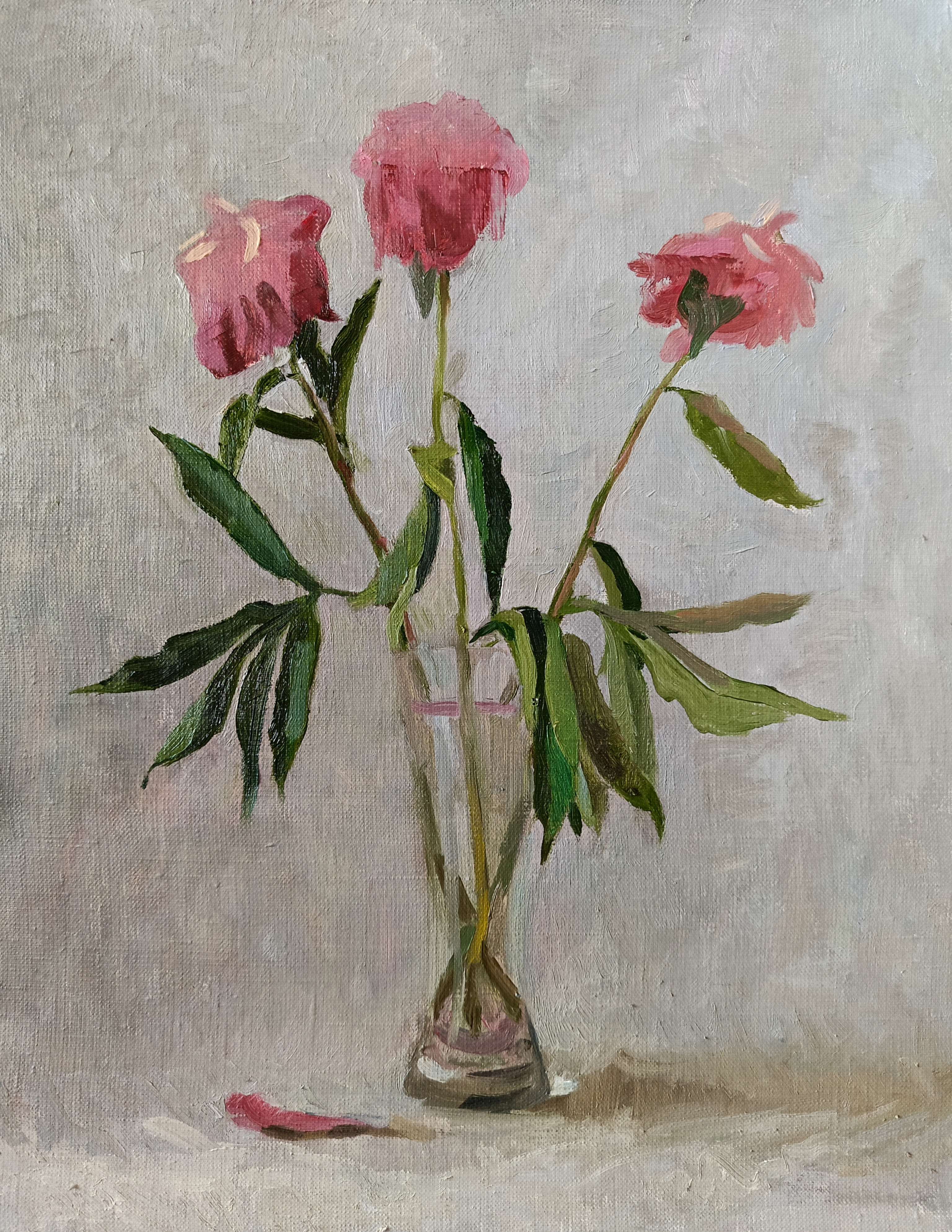 Three peonies